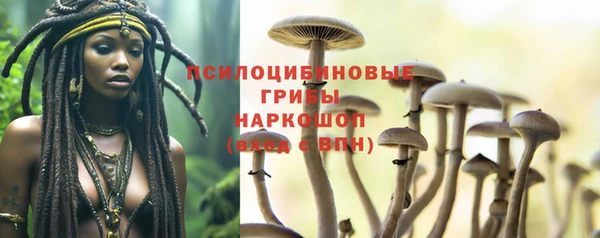 дурь Алзамай