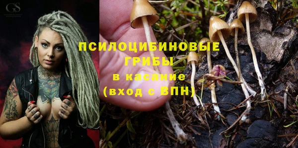 соль курить ск Алексеевка