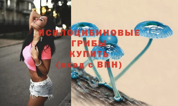 дурь Алзамай